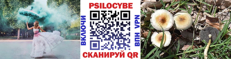 хочу наркоту  Уварово  Псилоцибиновые грибы ЛСД 